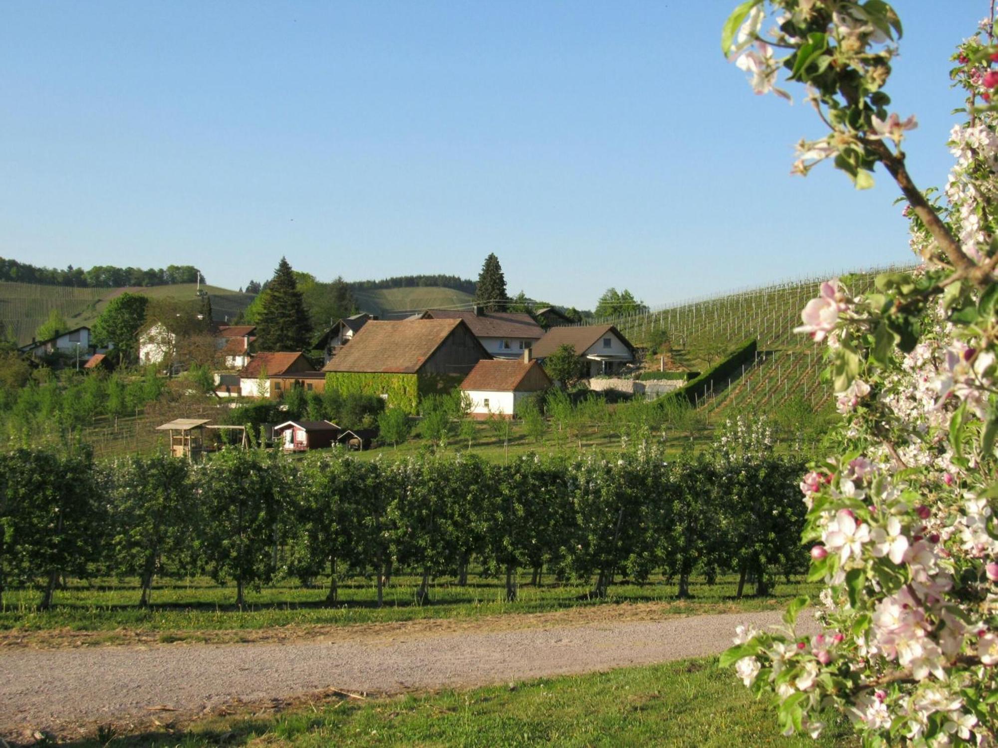 Gästehaus Wörner Durbach Exterior foto